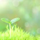 プライバシーポリシー